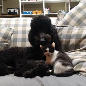 Meet your Posher, Jodie